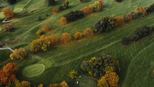 Die 10 besten Golfplätze in Deutschland